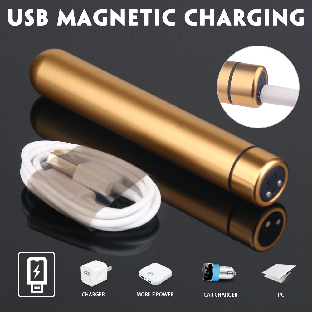 Seed 4 - Rechargeable Waterproof Metal Vibrating Bullet