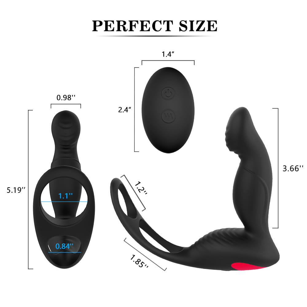 Langer RCT - Prostate Massager and Stimulator